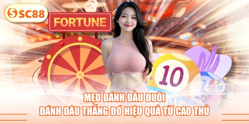 Mẹo Đánh Đầu Đuôi Đánh Đâu Thắng Đó Hiệu Quả Từ Cao Thủ 1 Mẹo Đánh Đầu Đuôi Đánh Đâu Thắng Đó Hiệu Quả Từ Cao Thủ